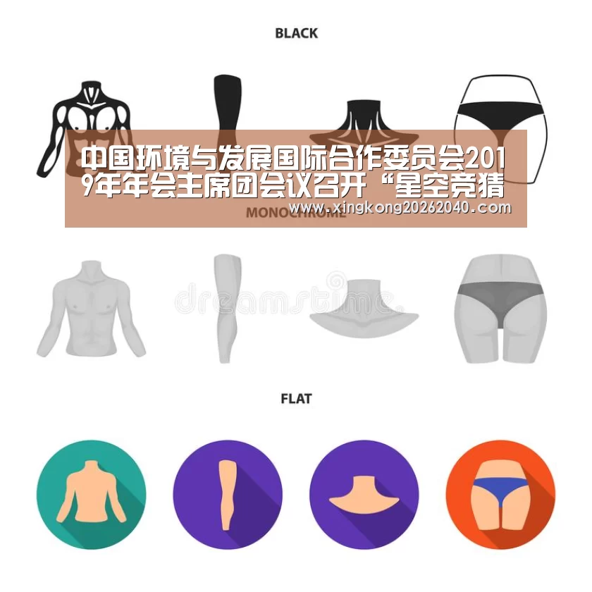 中国环境与发展国际合作委员会2019年年会主席团会议召开“星空竞猜”(图1) 星空竞猜