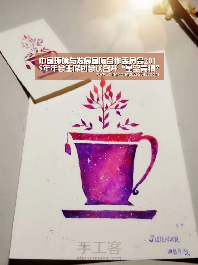 中国环境与发展国际合作委员会2019年年会主席团会议召开“星空竞猜”(图2) 星空APP