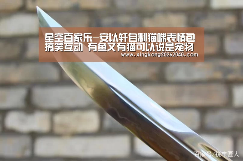 星空百家乐-安以轩自制猫咪表情包搞笑互动 有鱼又有猫可以说是宠物赢家了(图3) 星空竞猜